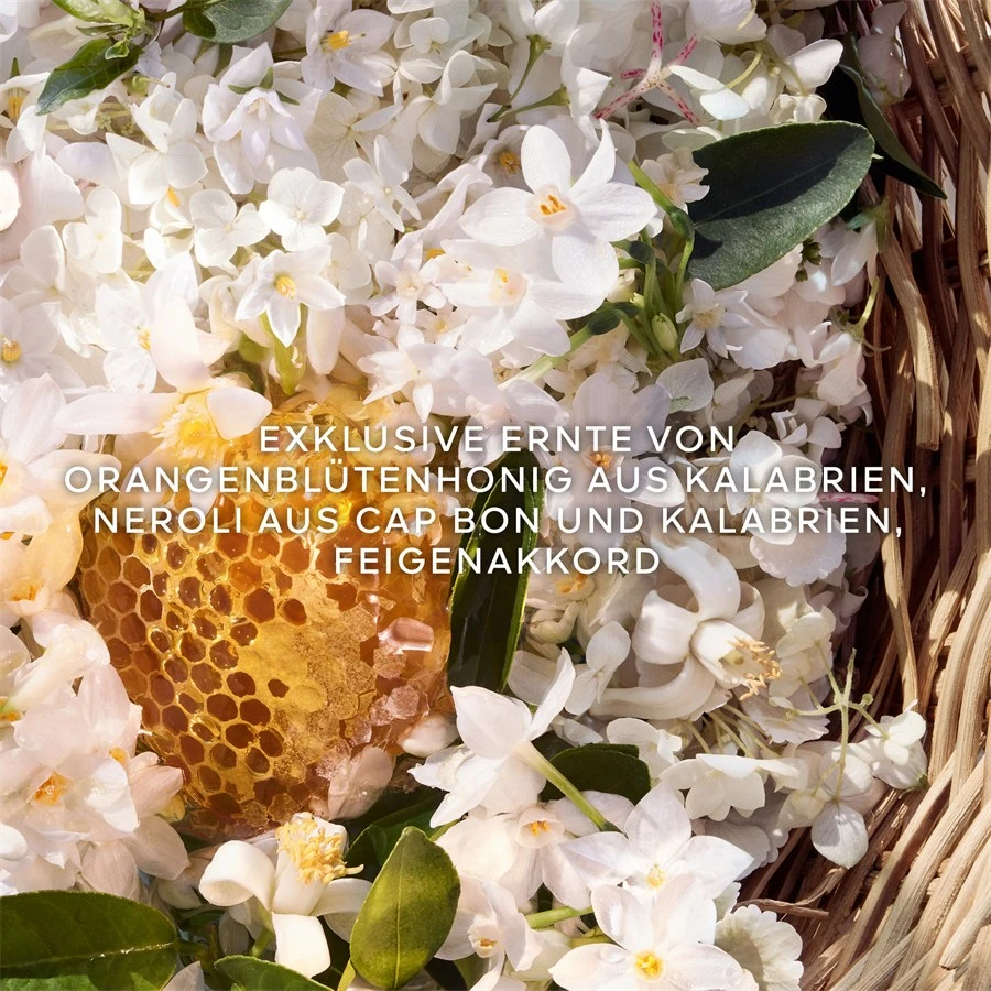 Aqua Allegoria Eau De Toilette Spray Nerolia Vetiver Harvest De GUERLAIN – Image 4