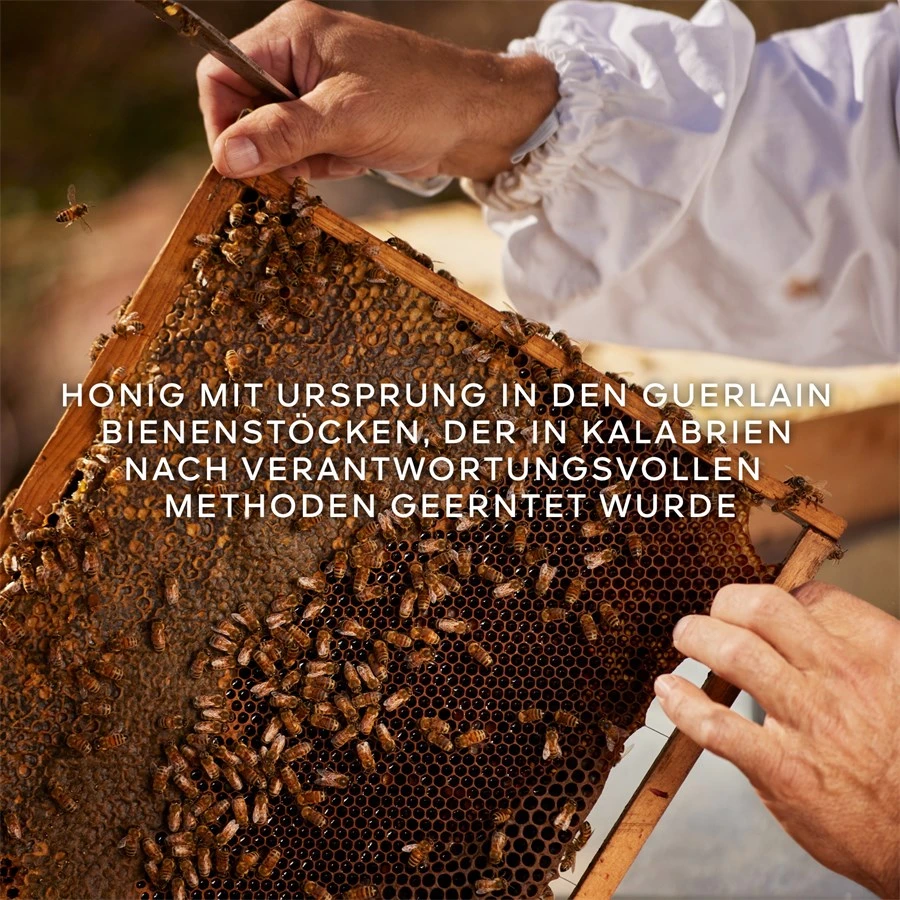 Aqua Allegoria Eau De Toilette Spray Nerolia Vetiver Harvest De GUERLAIN – Image 6