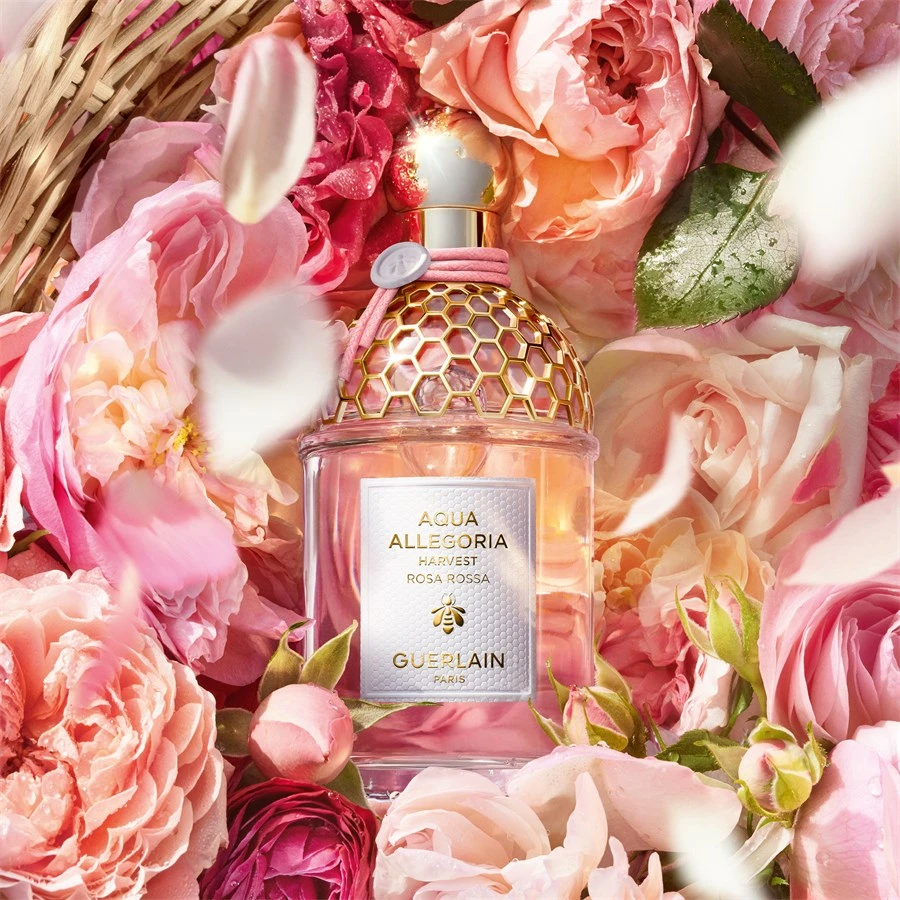 Aqua Allegoria Eau De Toilette Spray Rosa Rossa Harvest De GUERLAIN – Image 3