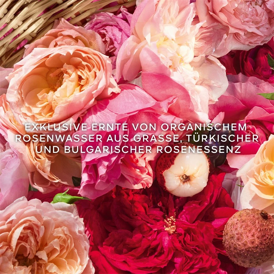 Aqua Allegoria Eau De Toilette Spray Rosa Rossa Harvest De GUERLAIN – Image 4