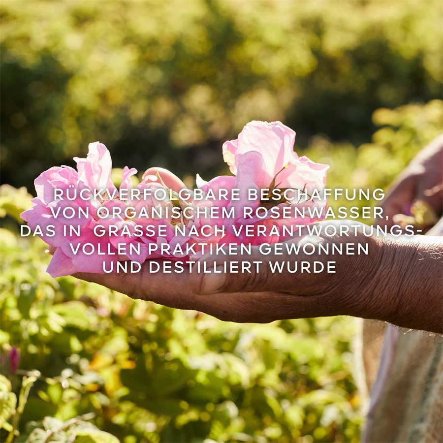 Aqua Allegoria Eau De Toilette Spray Rosa Rossa Harvest De GUERLAIN – Image 6