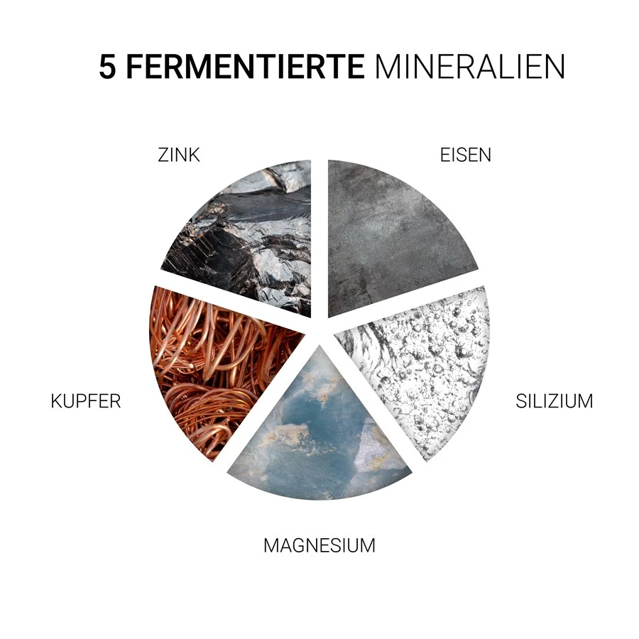 Essential Shampoo De Wella – Image 5